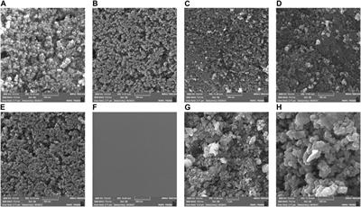 Enhanced photocatalytic degradation of methylene blue using a novel counter-rotating disc reactor